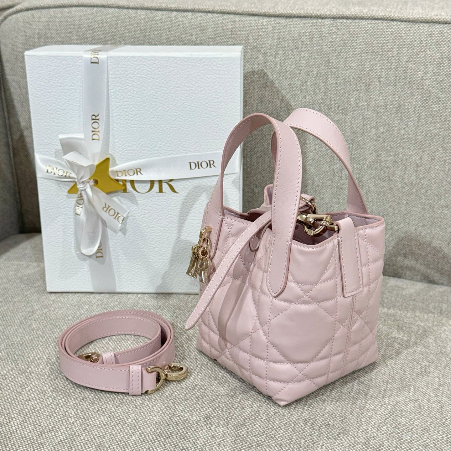 Dior Toujours Mini Bag