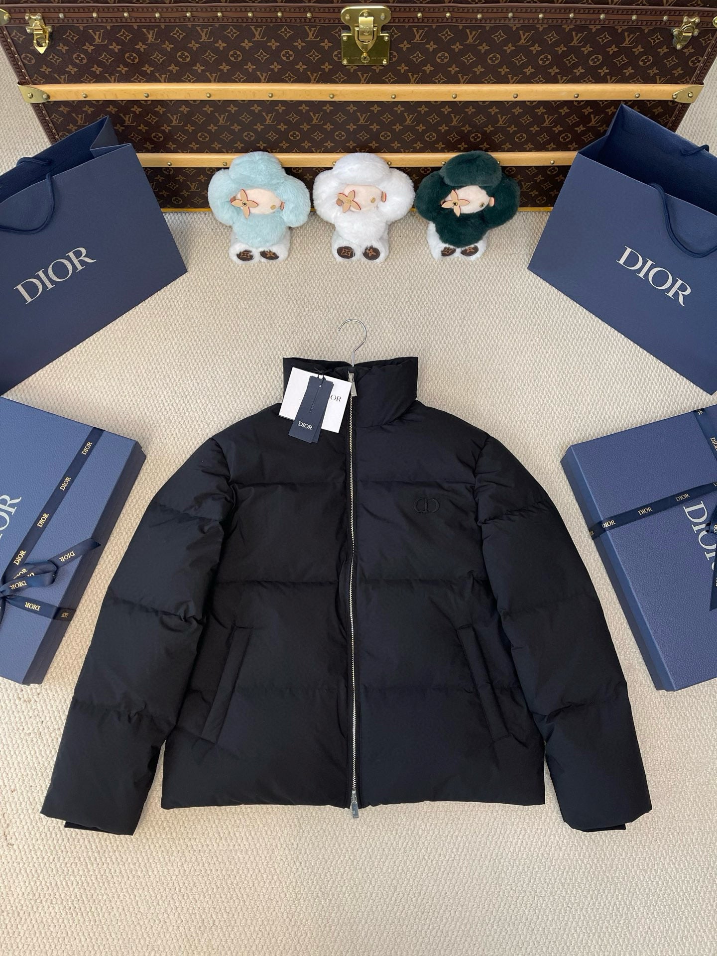 Dior Down Jacket