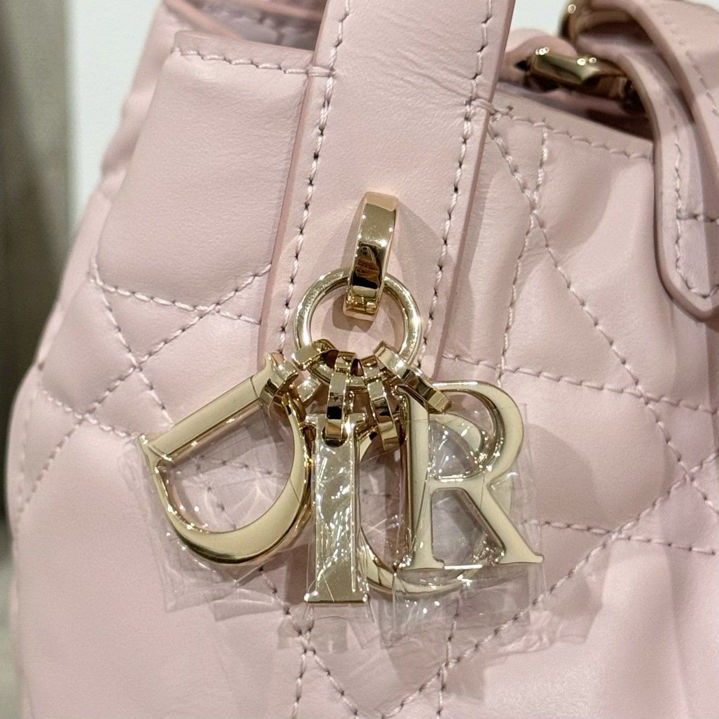 Dior Toujours Mini Bag