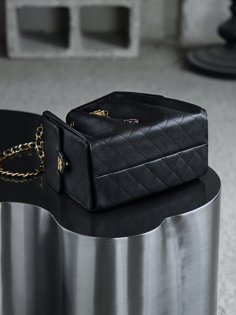 Chanel Hobo 25Bag (small)