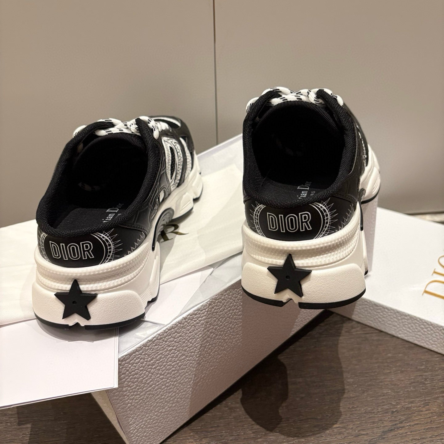 Dior Sneakers