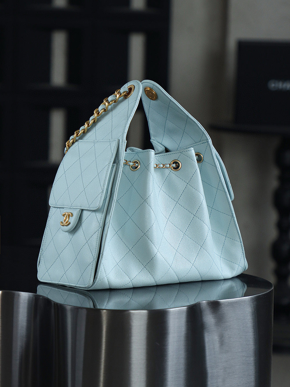 Chanel Hobo 25Bag (small)