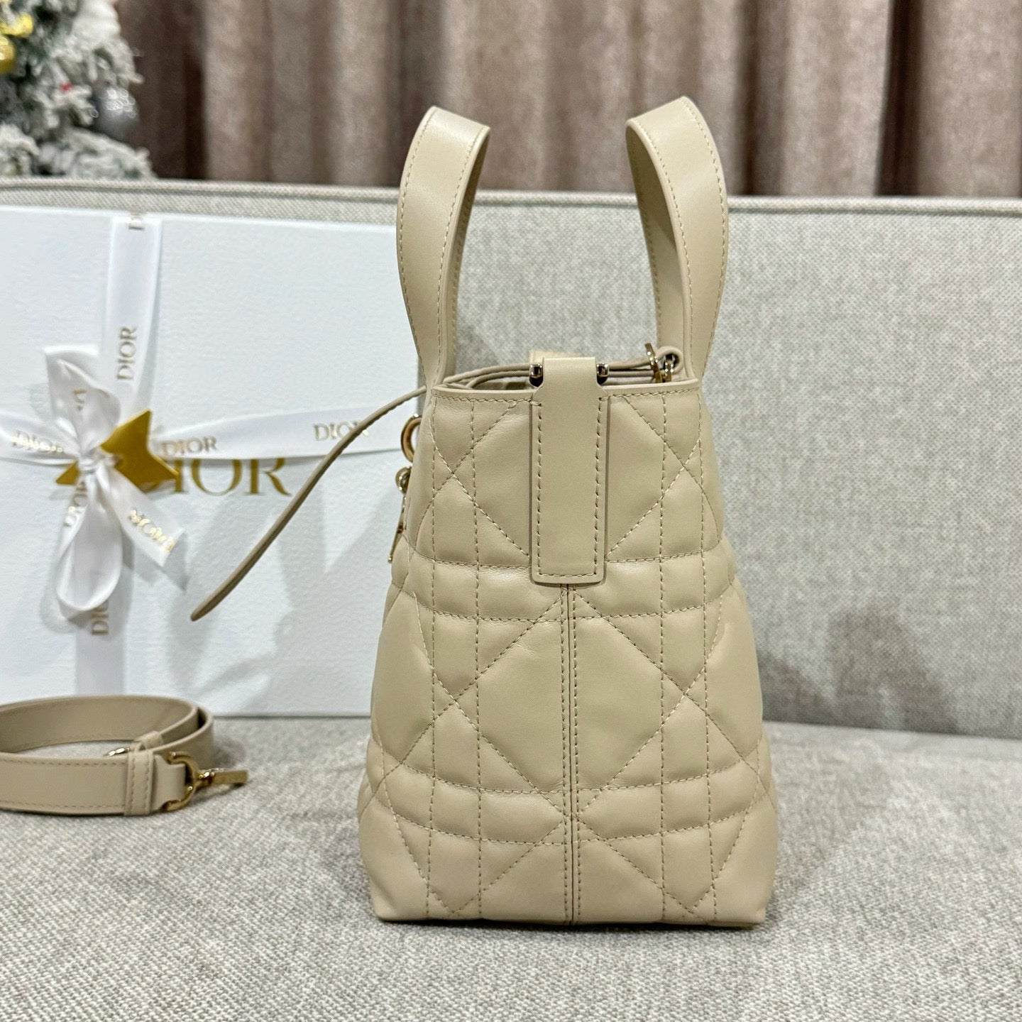 Dior Toujours Mini Bag