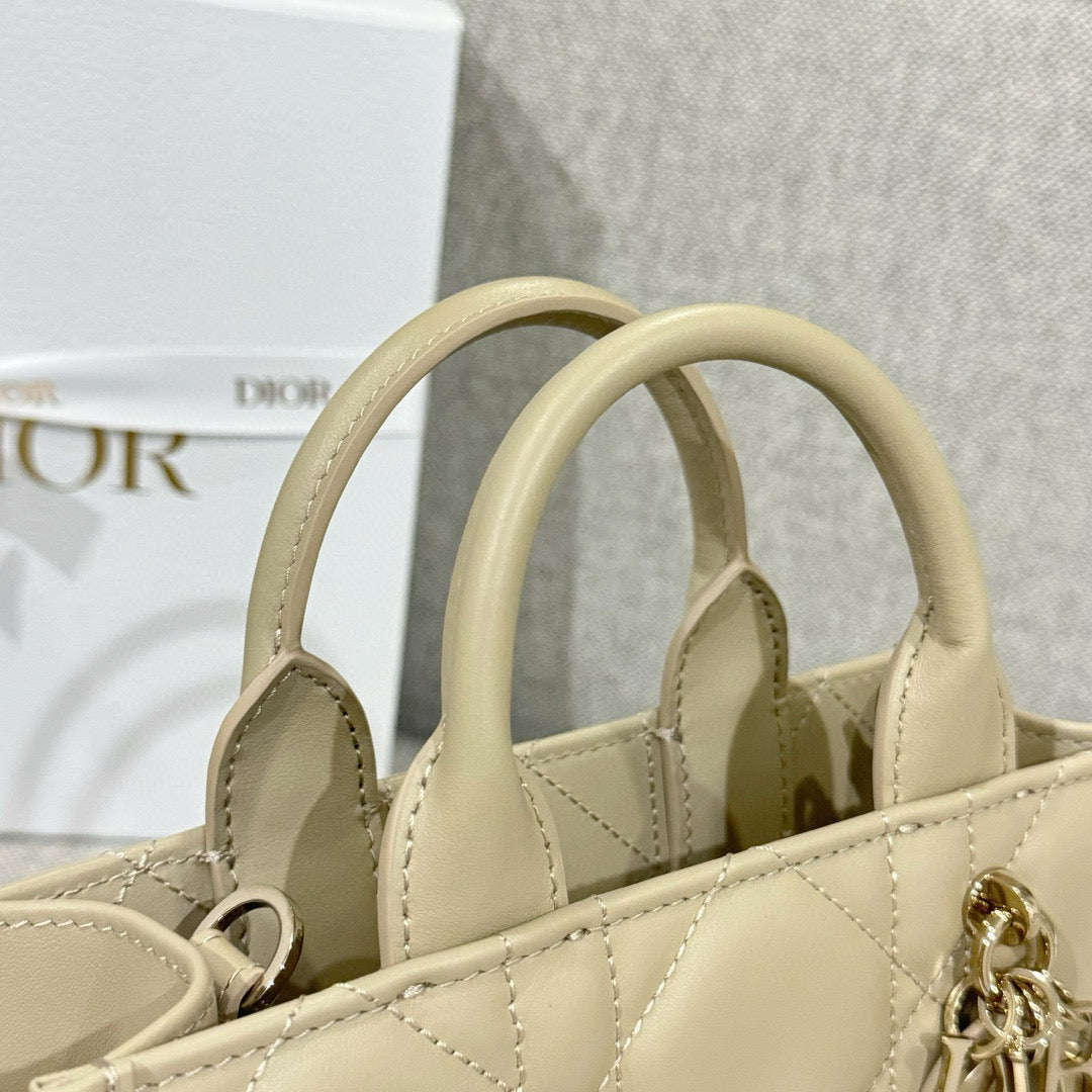 Dior Tote Mini Bag