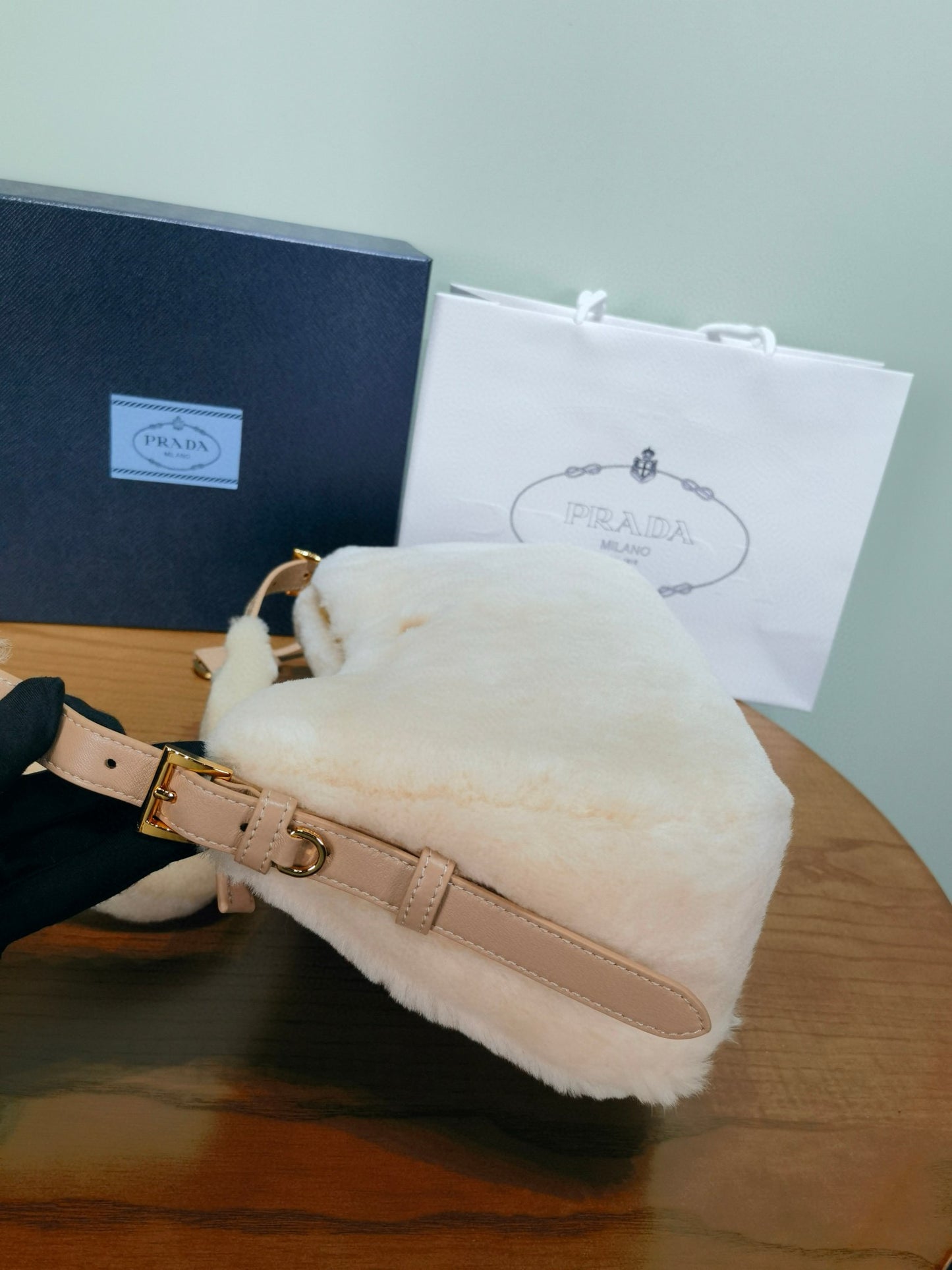 Prada Aimee Bag