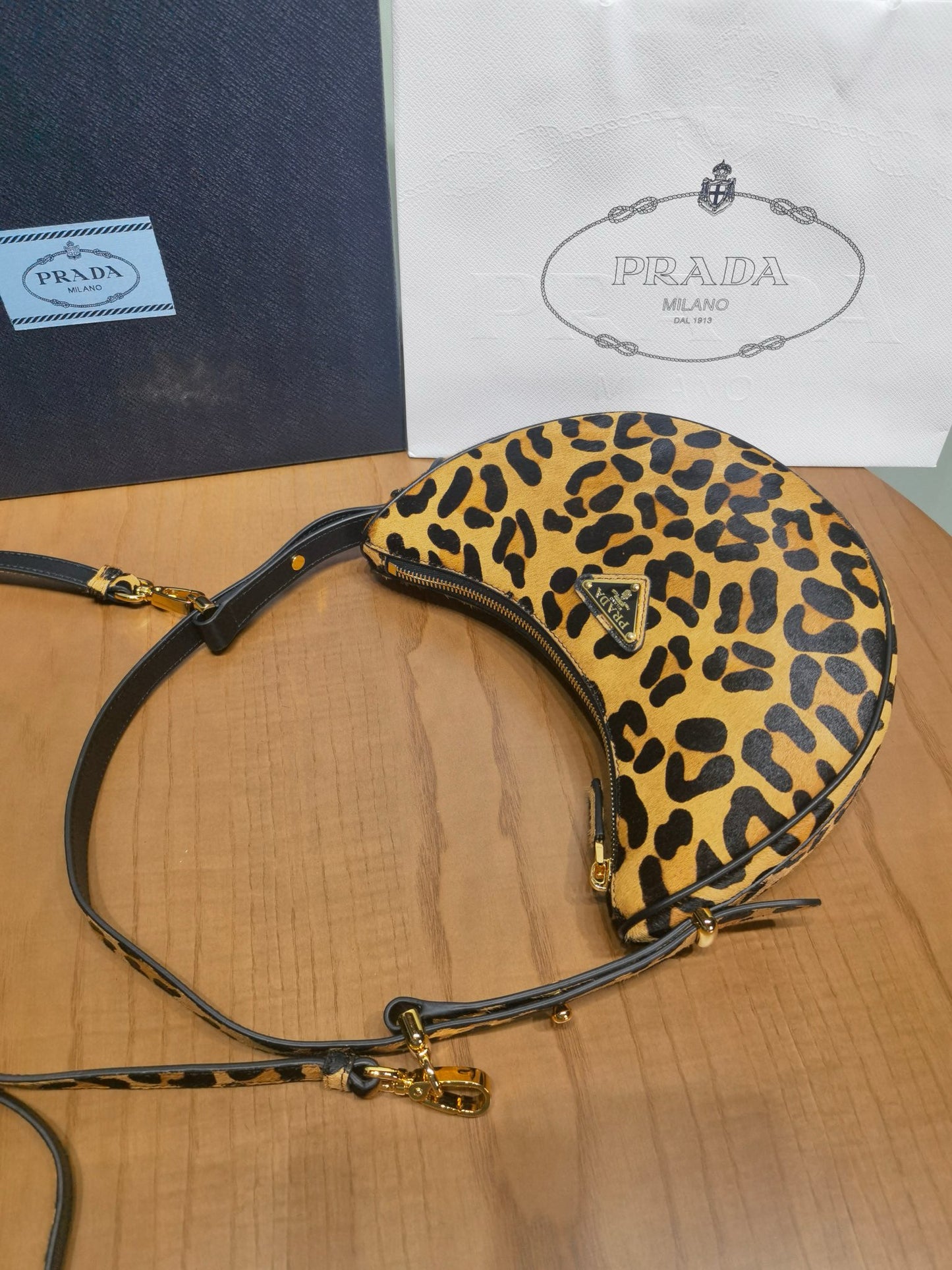 Prada Arque Moon Bag