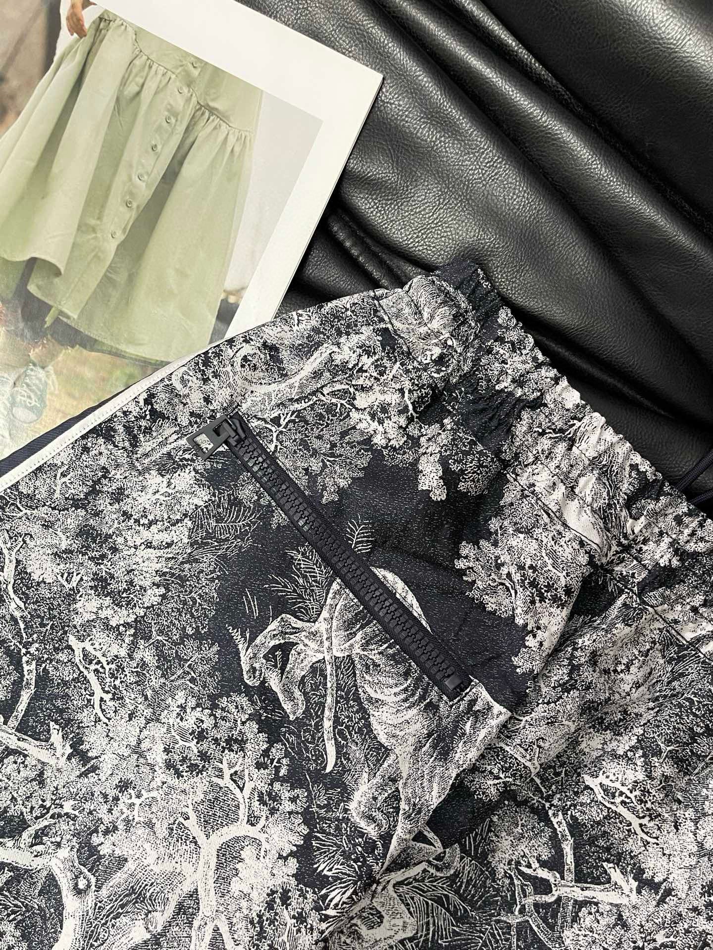 Dior Jogger
