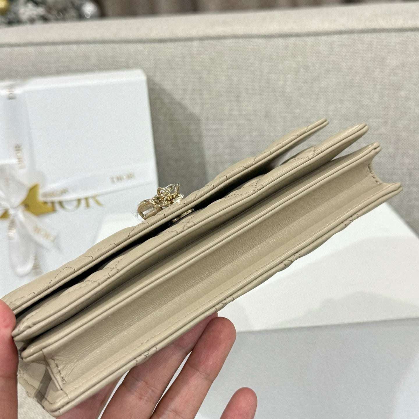 Dior WOC