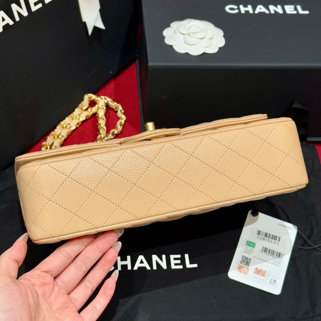 Chanel Classic Flap 25 (Medium)