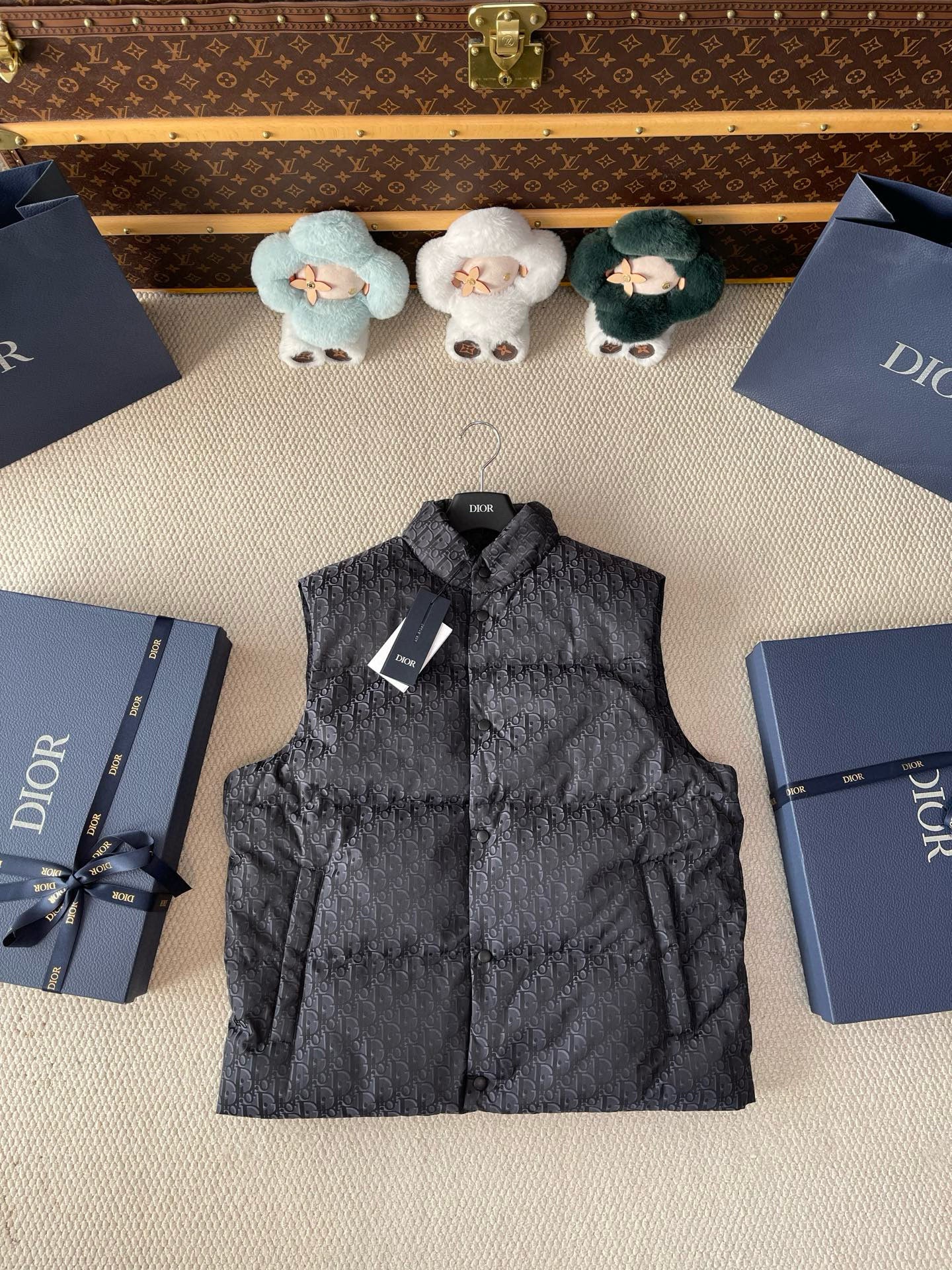 Dior Down Vest
