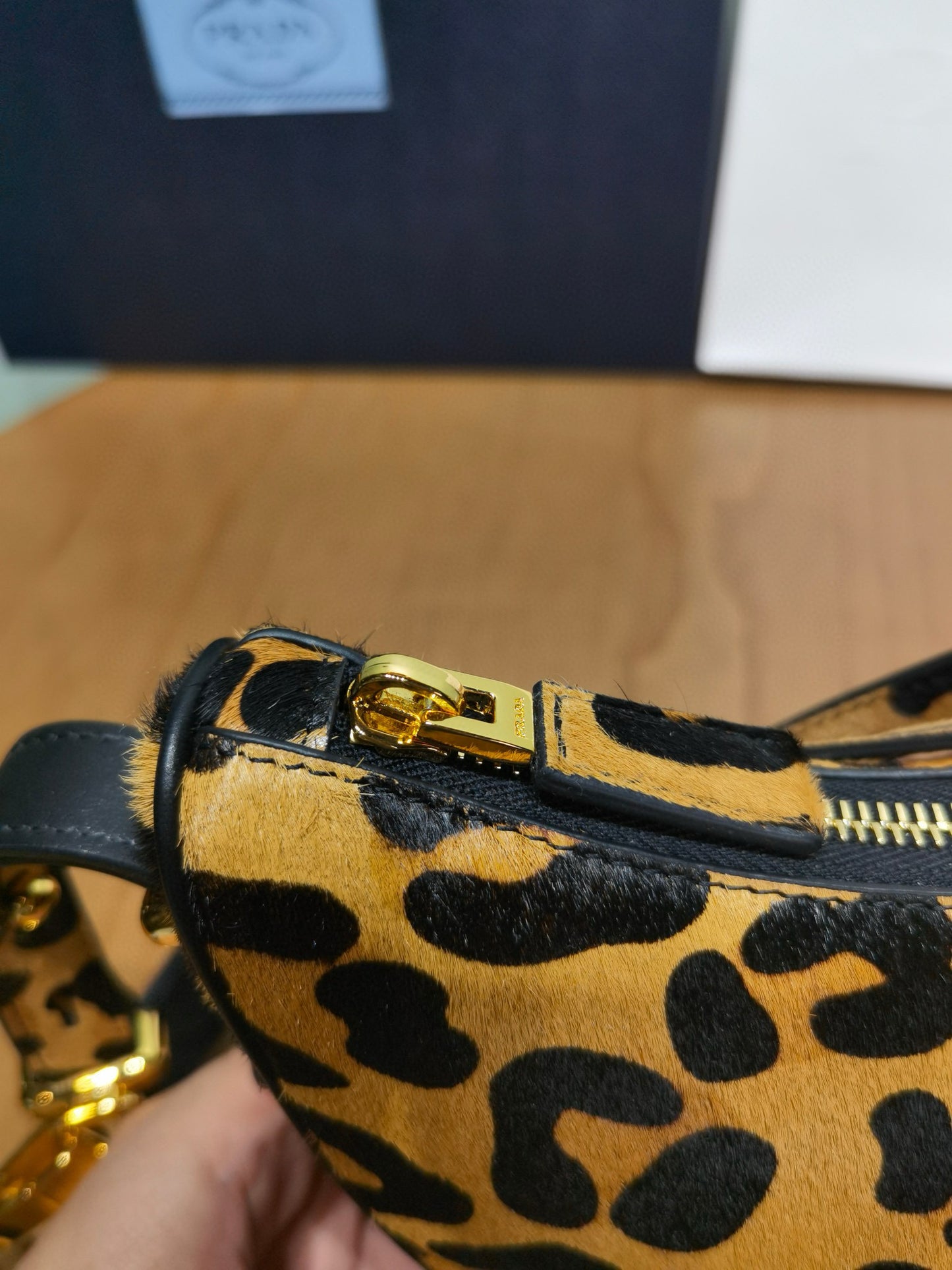 Prada Arque Moon Bag