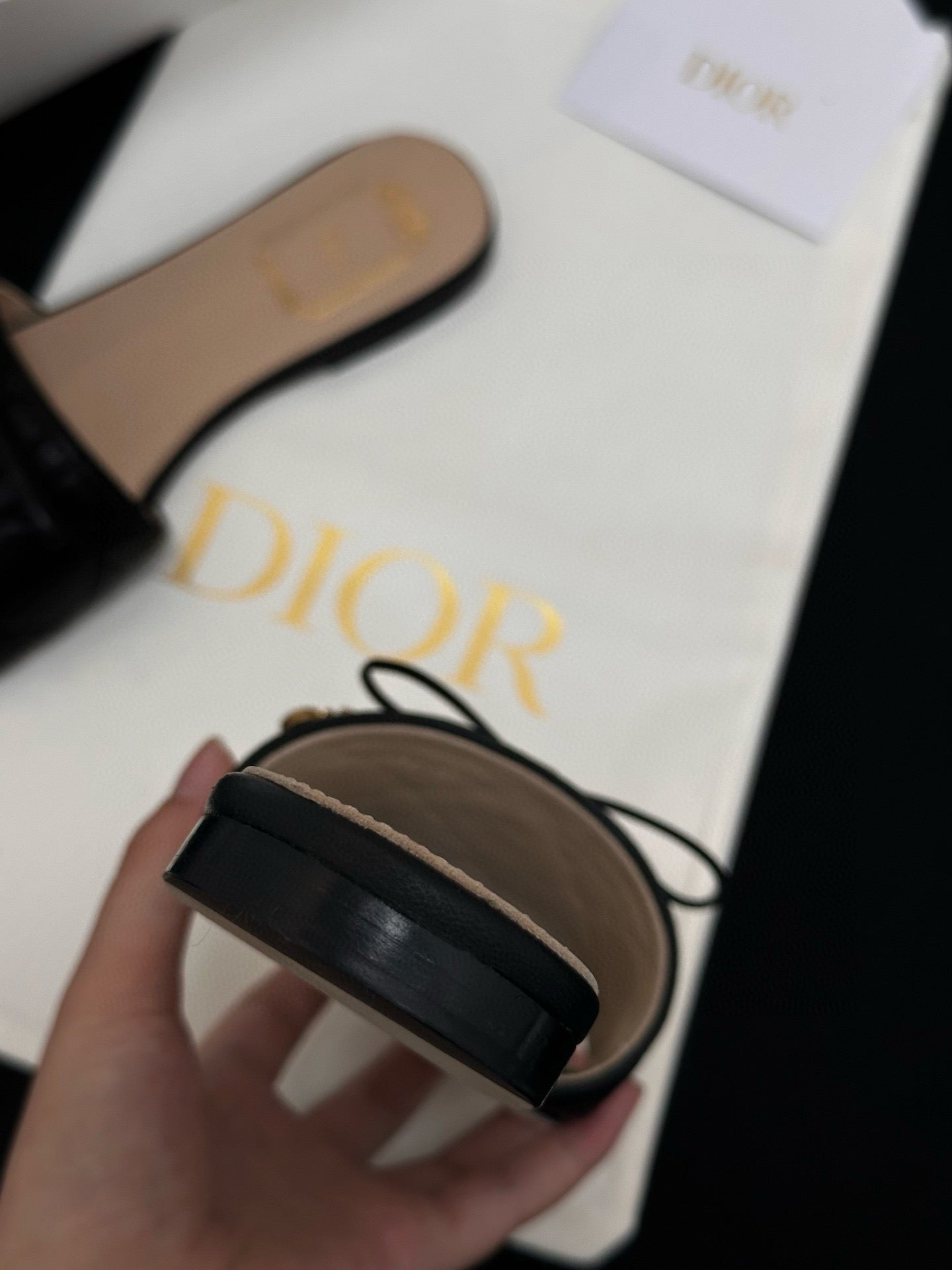 Dior Sandals