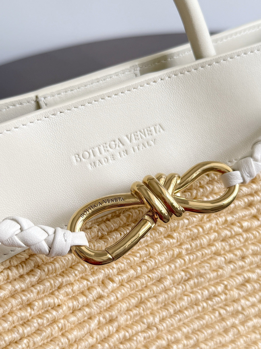 Bottega Veneta Andiamo Handbag