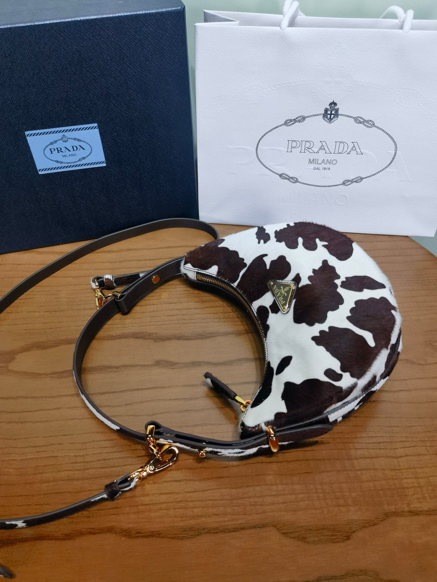 Prada Arque Moon Bag