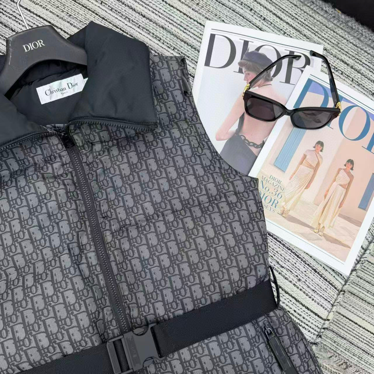 Dior Vest Down Jacket