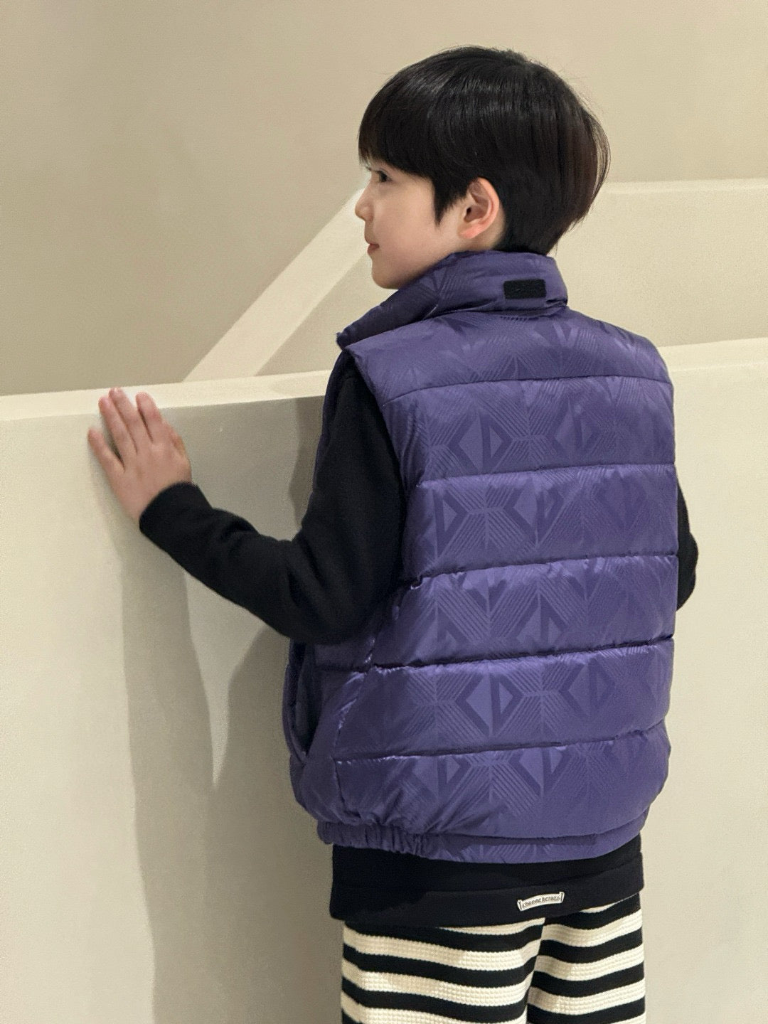 CD Insulated Vest Jacket