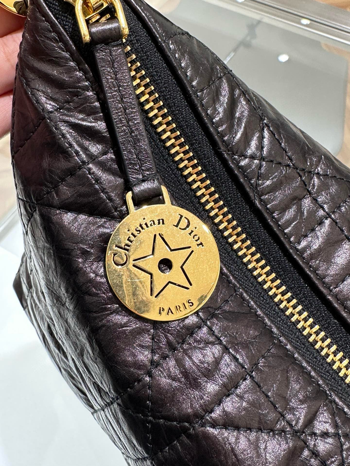 Dior Hobo Bag