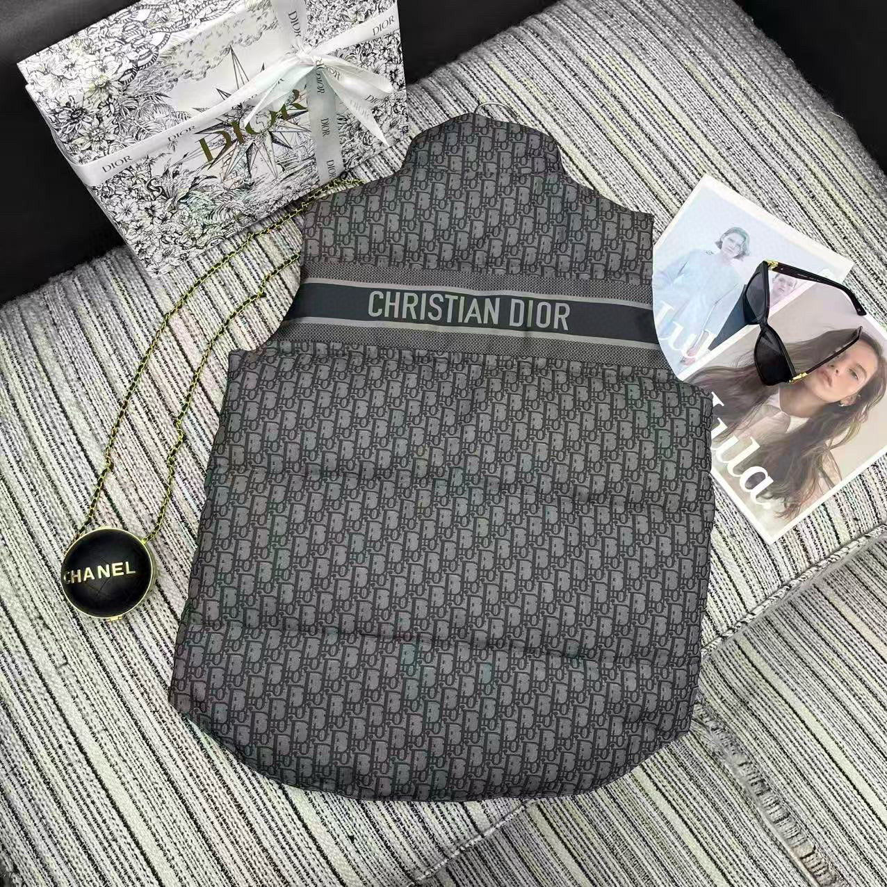 Dior Vest Down Jacket