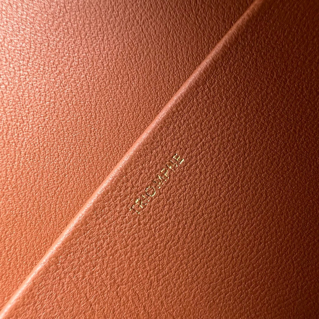 Celine Cross Body Bag