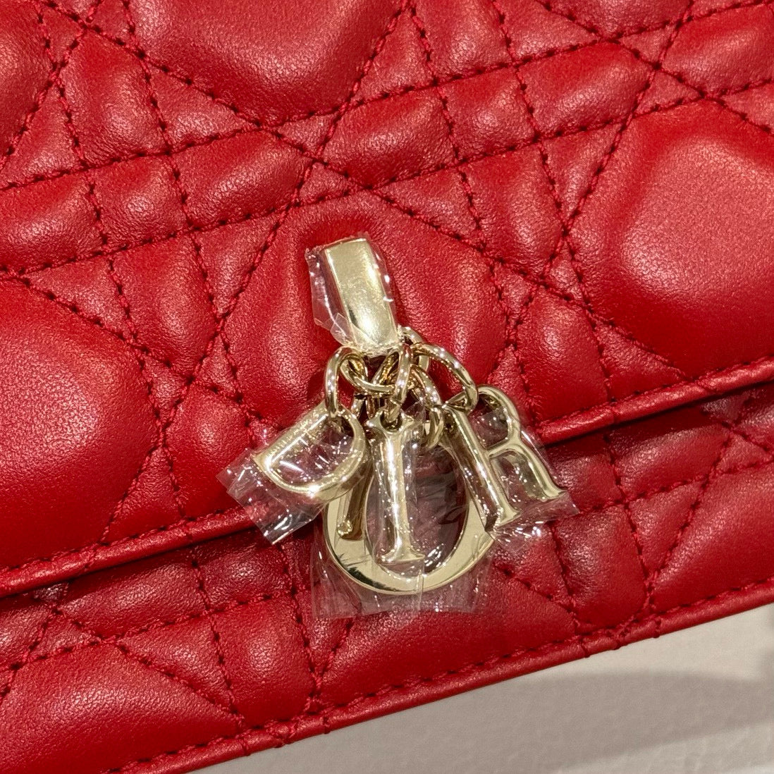 Dior WOC