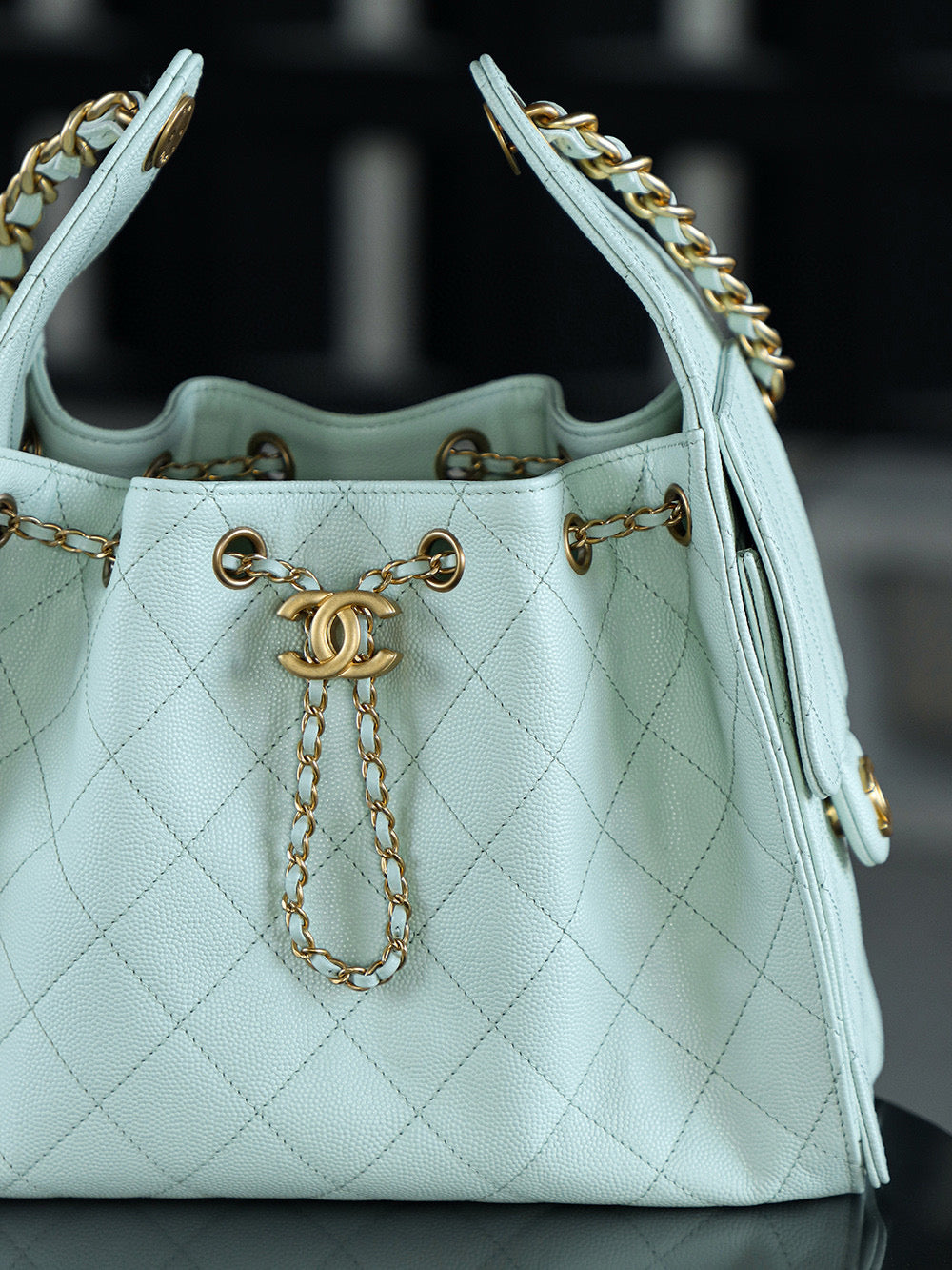 Chanel Hobo 25Bag (small)