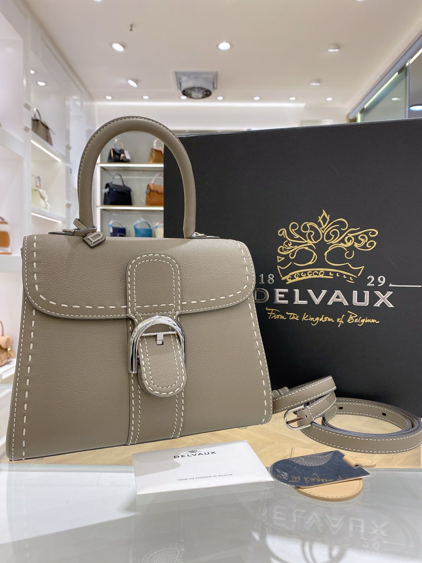 Delvaux Brillant Mini Surpique Rodeo Calf Handbag
