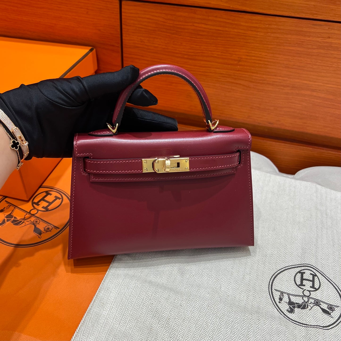 Hermes Mini Kelly II
