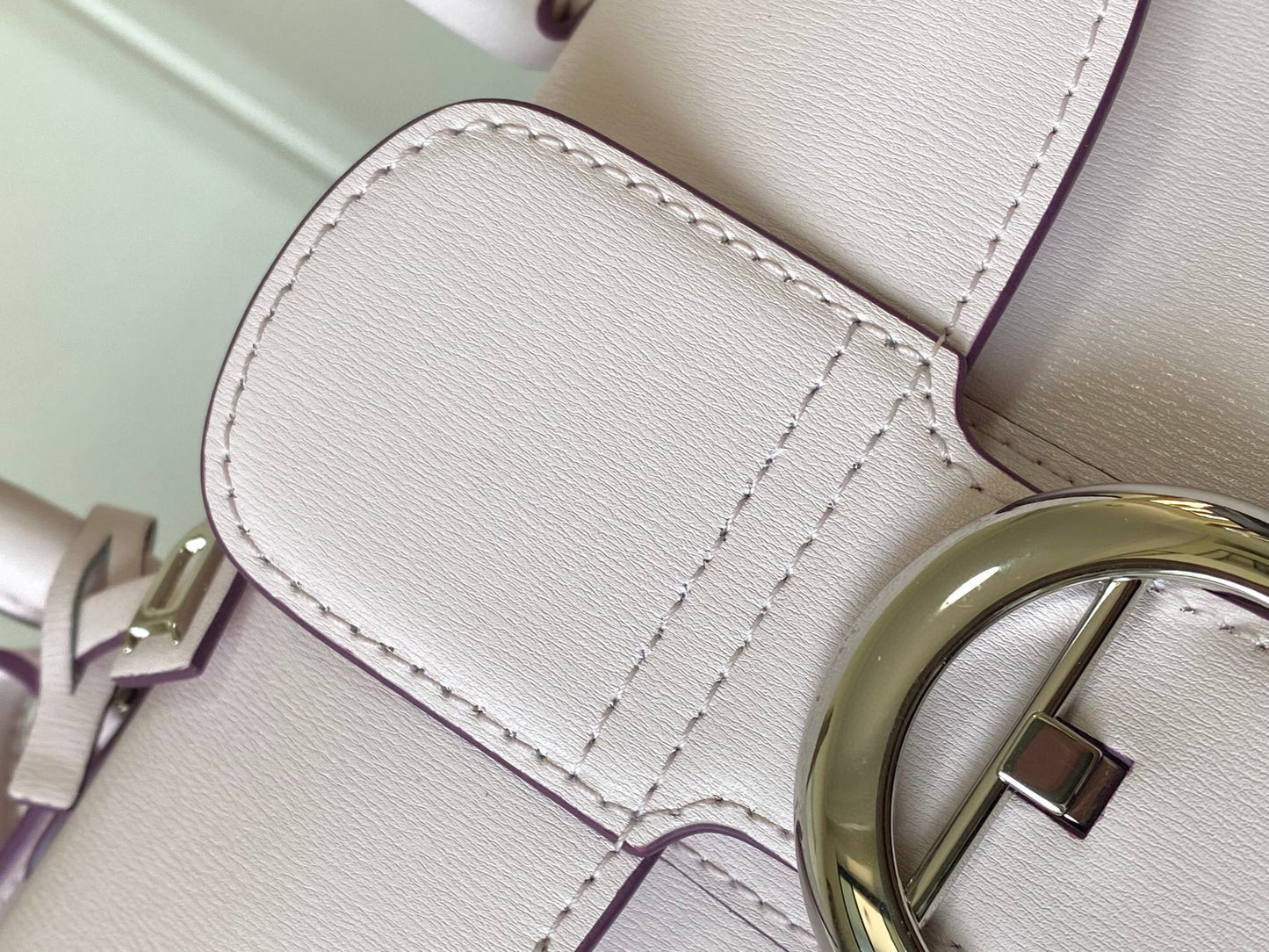 Delvaux Sling Bag (20*10*16cm)