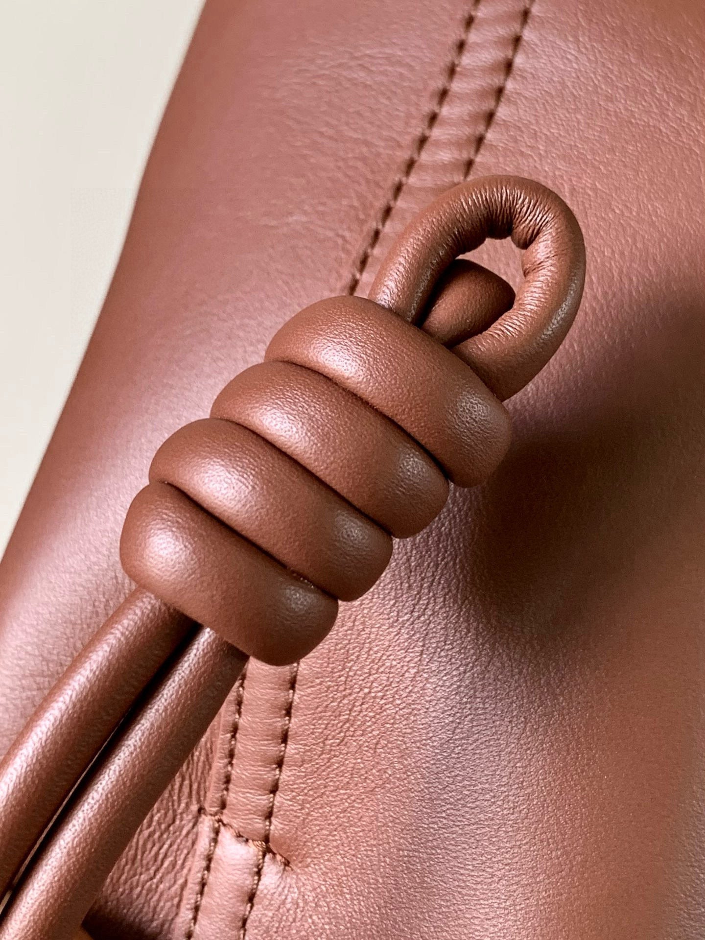 Loewe Messenger Bag