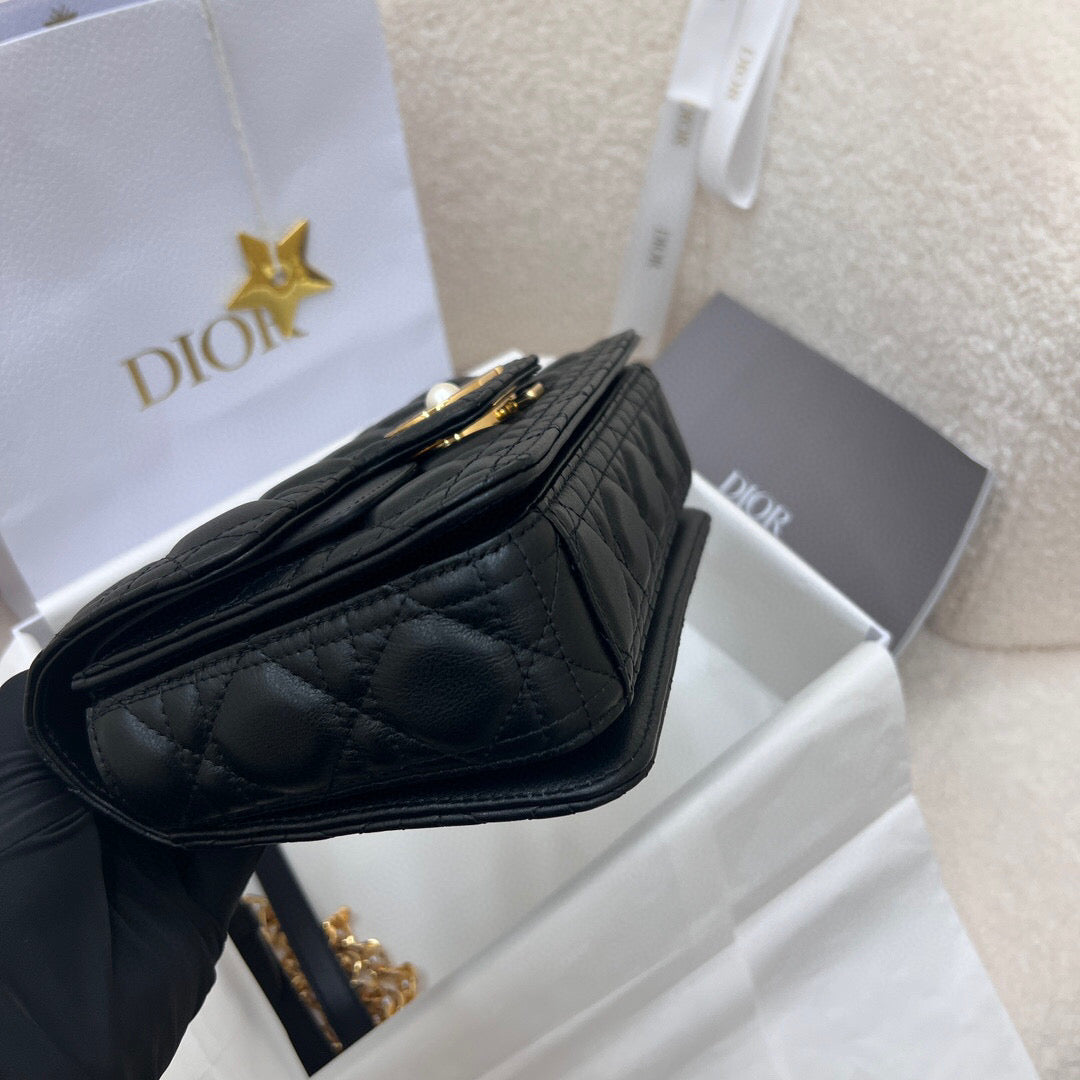 Dior Mini Jolie