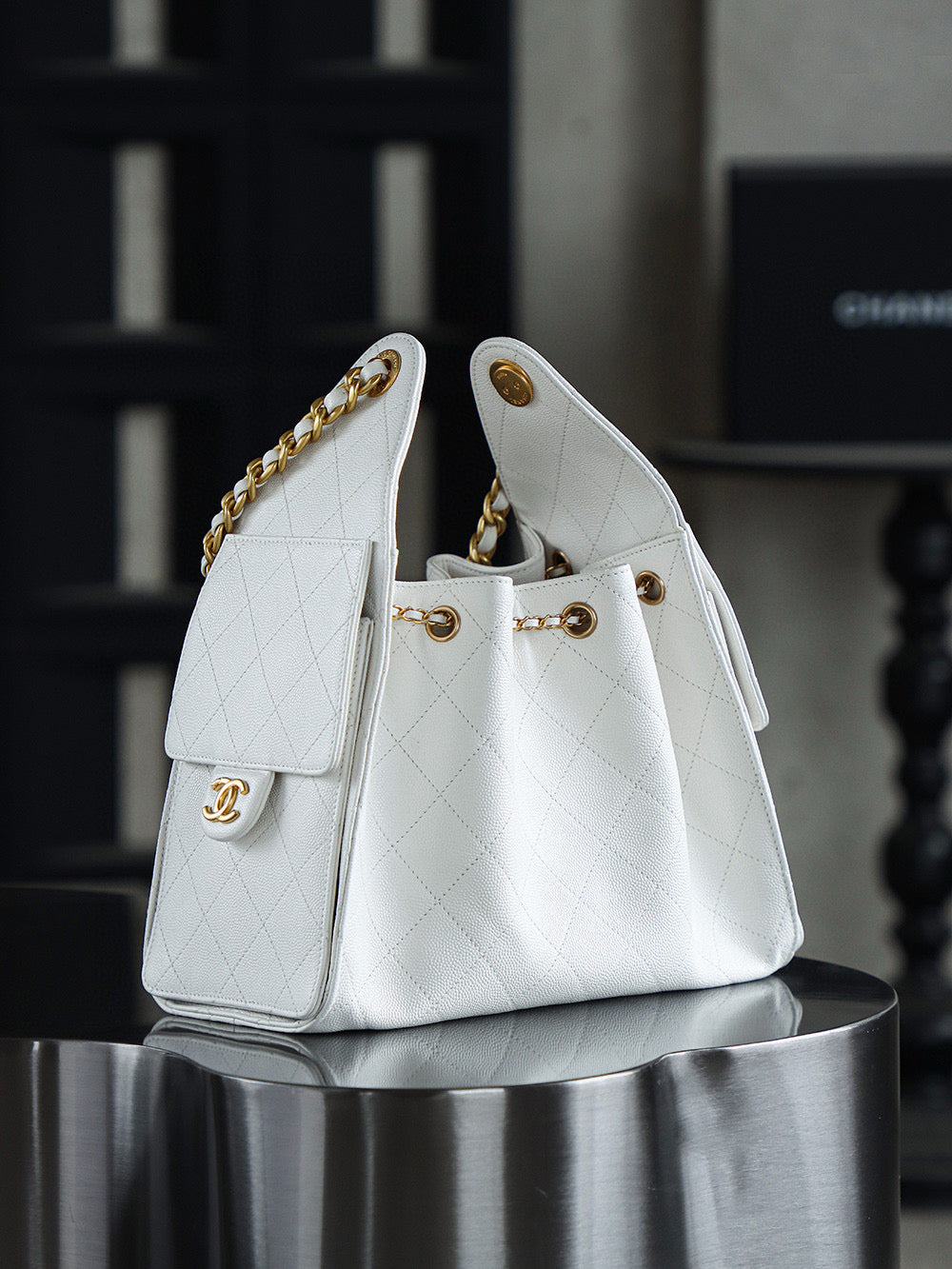 Chanel Hobo 25Bag (small)
