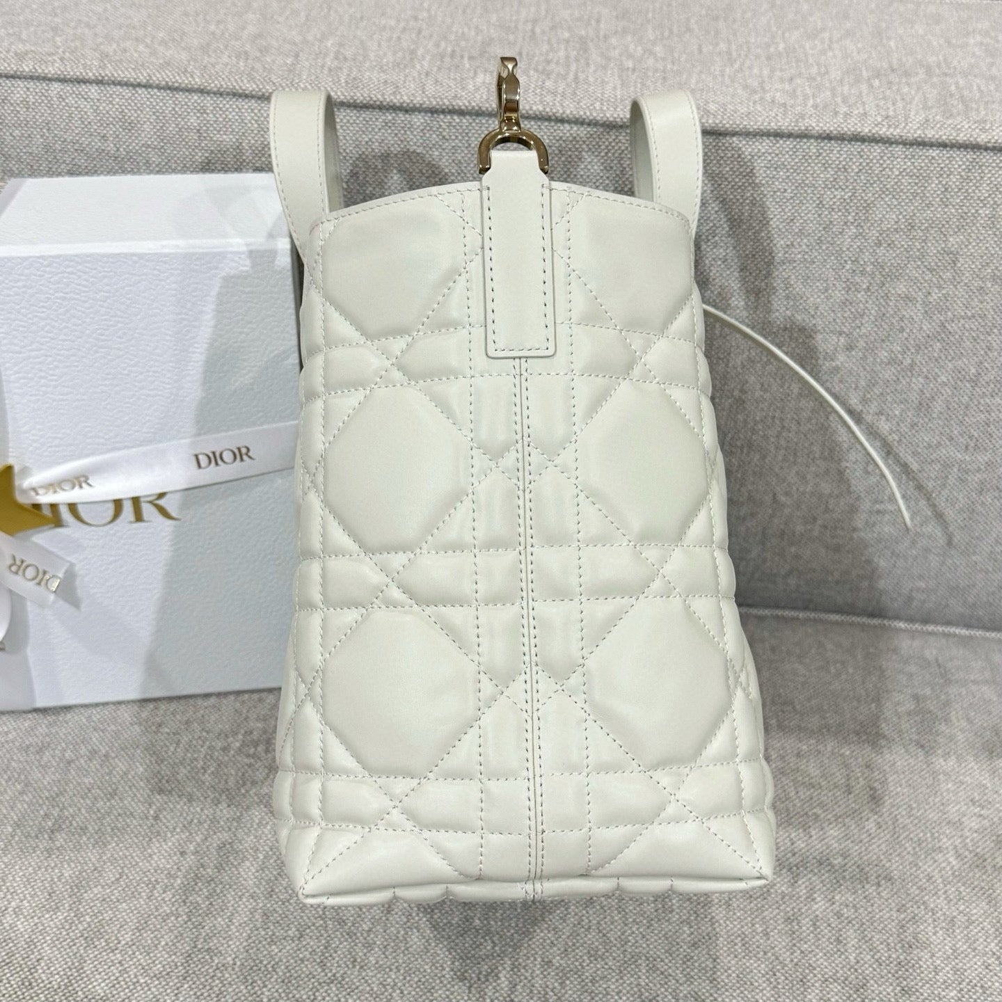 Dior Toujours Bag