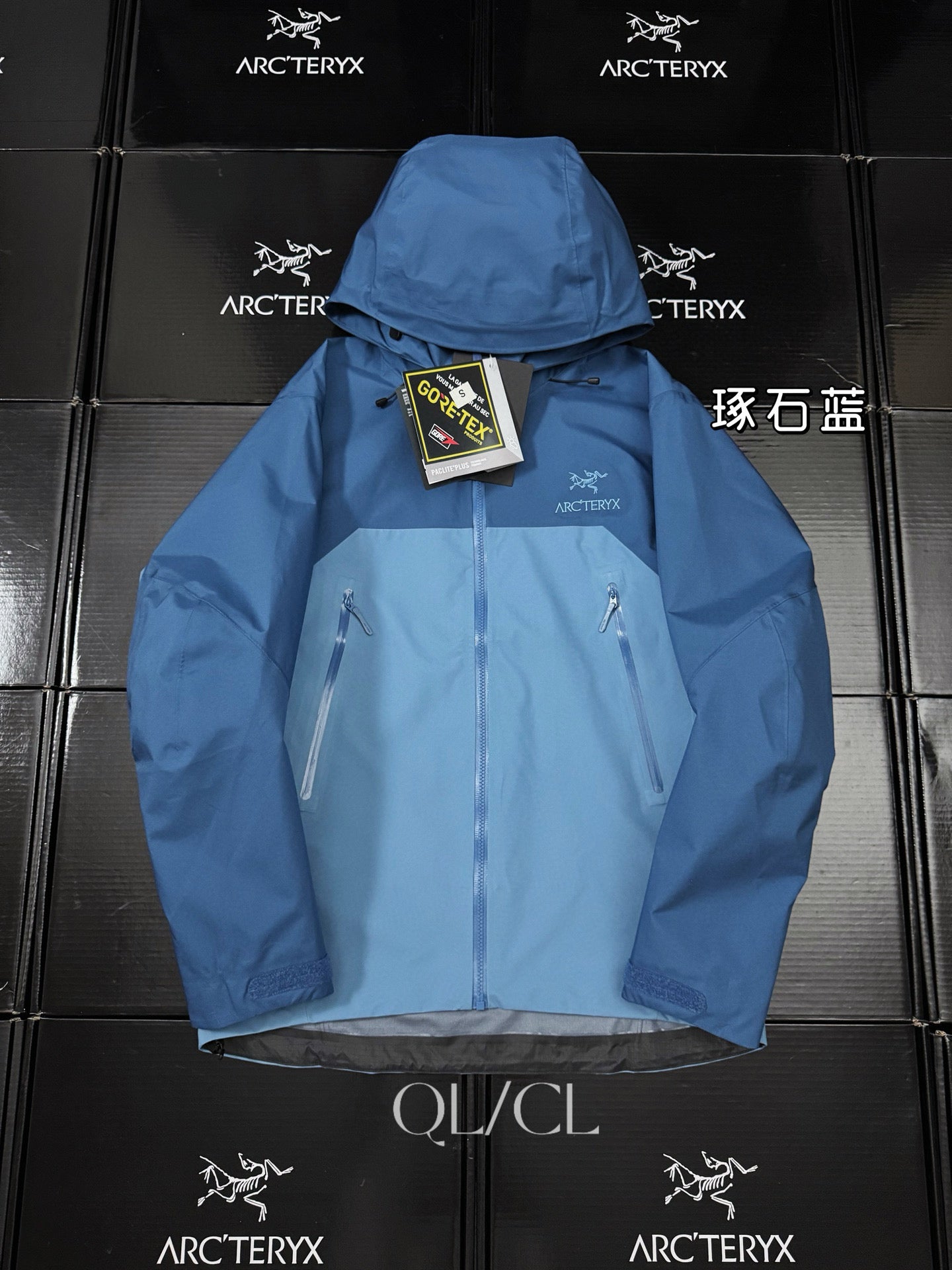 Arcteryx Jacket