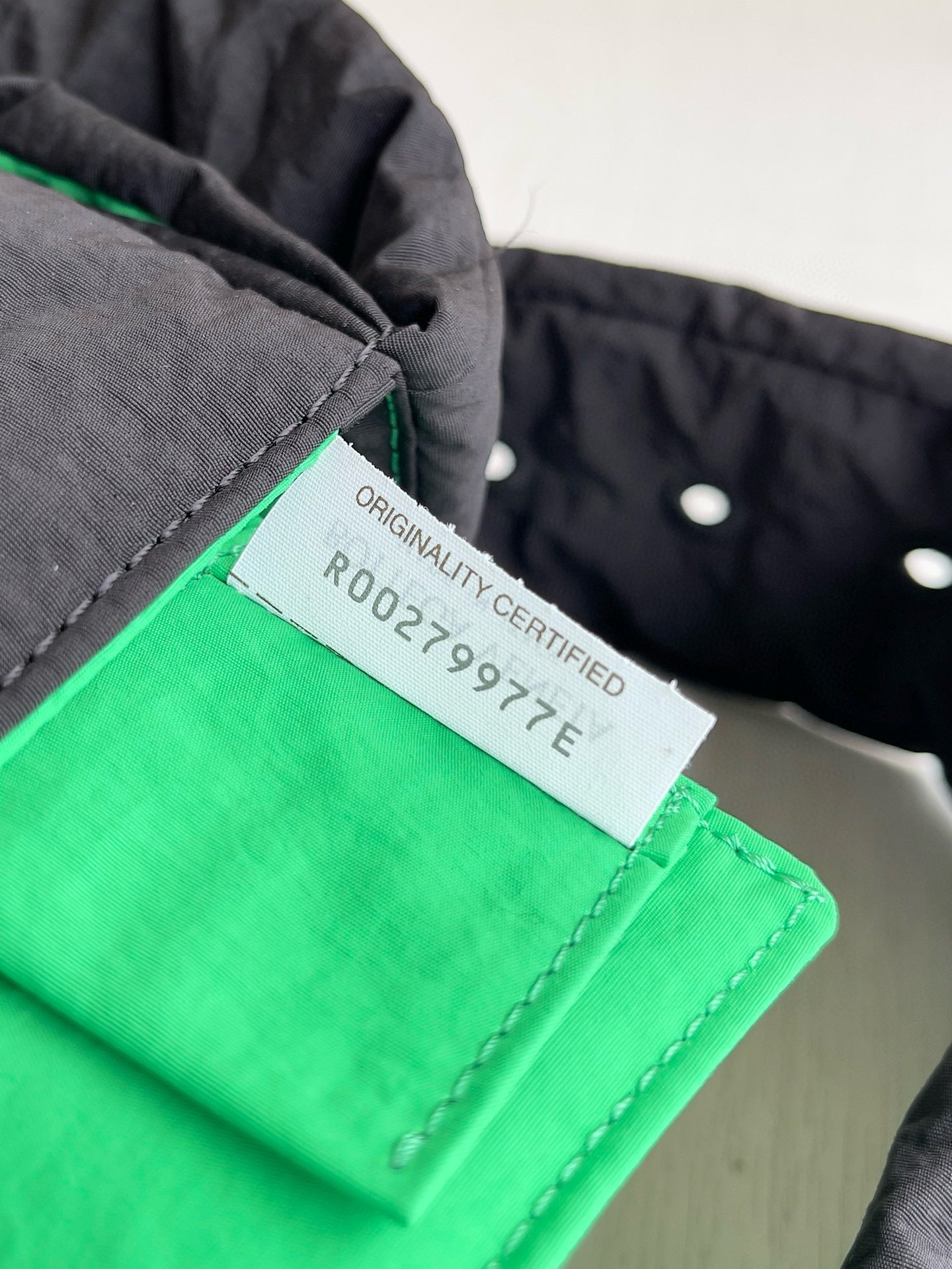 Bottega Veneta Camera Bag