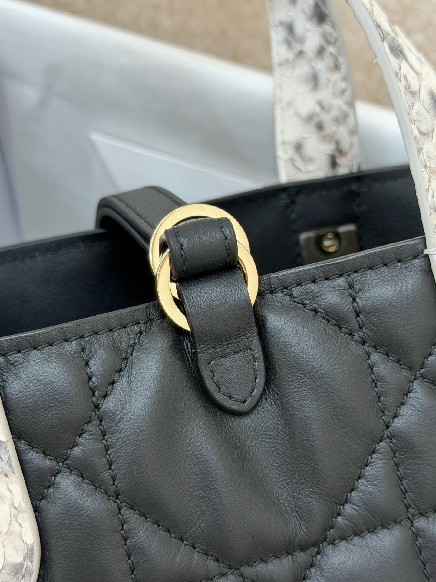 Dior Toujours Bag