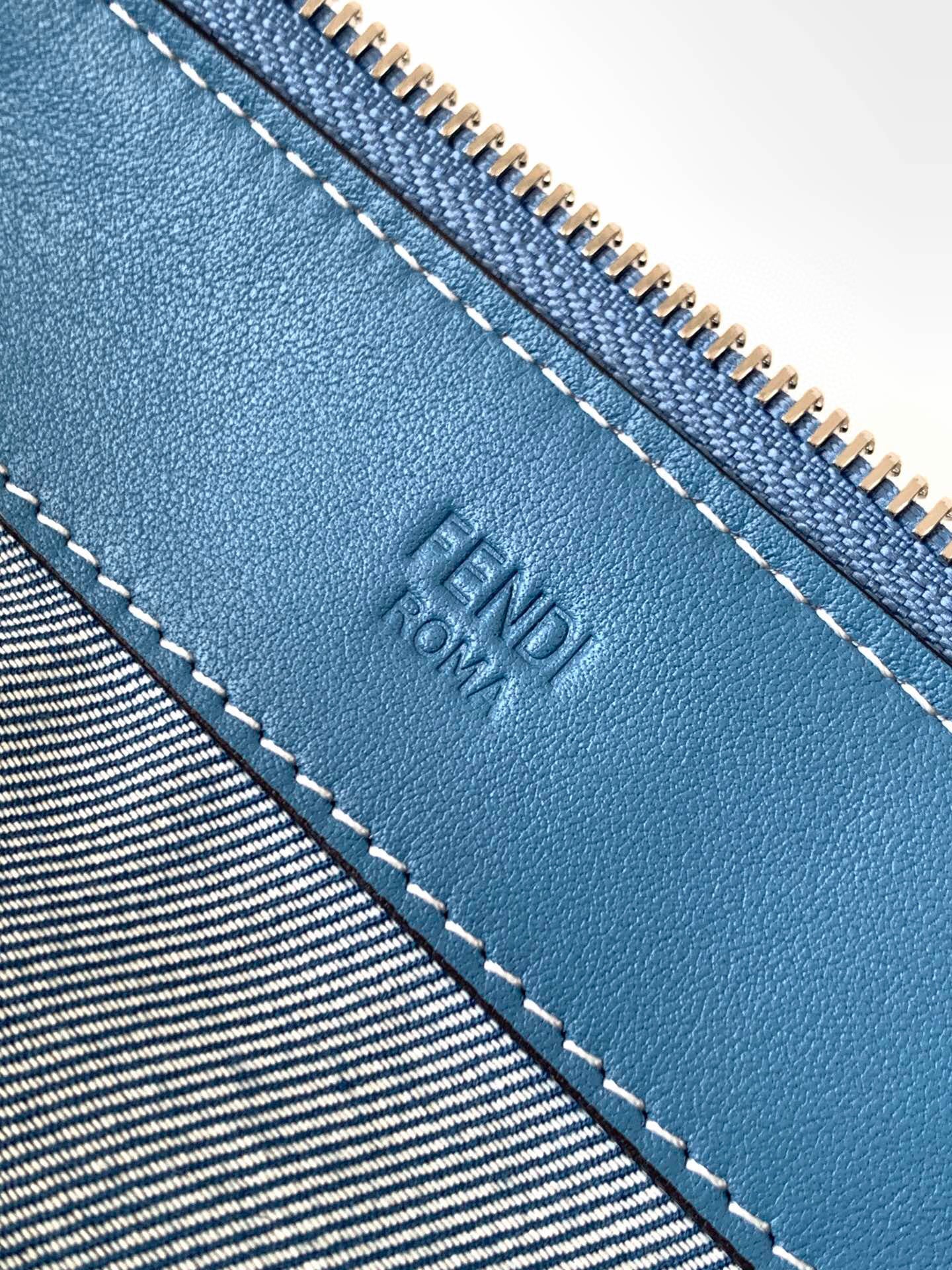 Fendi Sling bag (Medium)