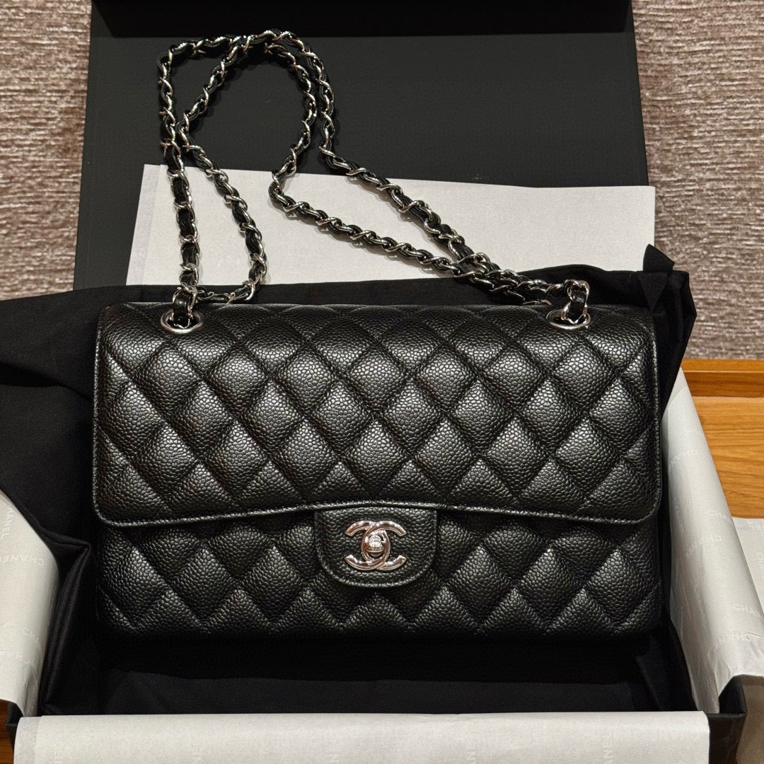 Chanel Classic Flap 25 (Medium)