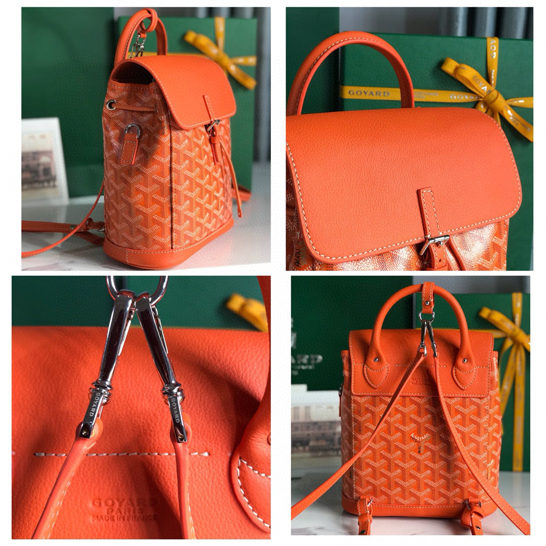 Goyard Mini Alpin Backpack