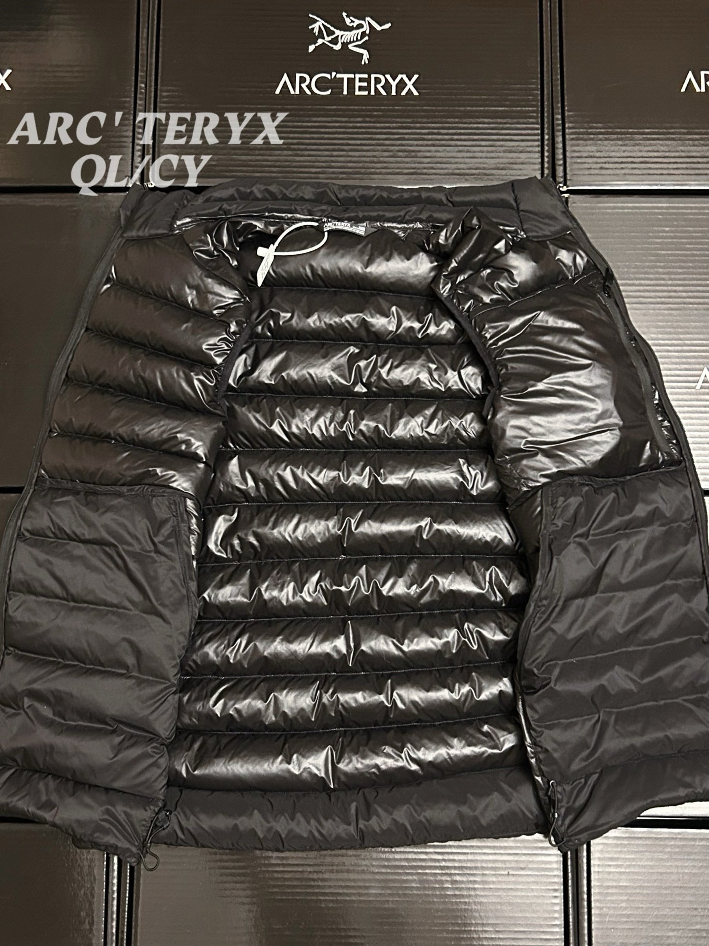 Arcteryx Down Vest
