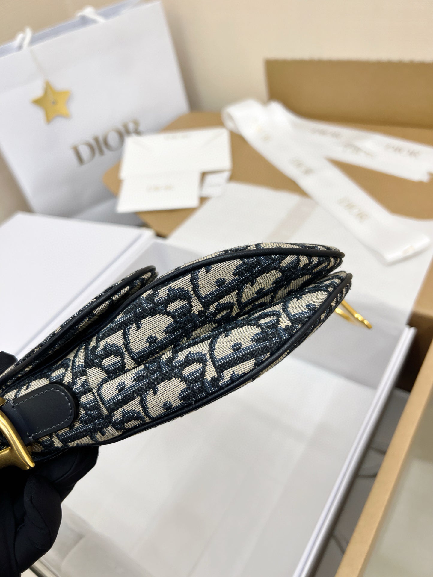 Dior Saddle Bag
