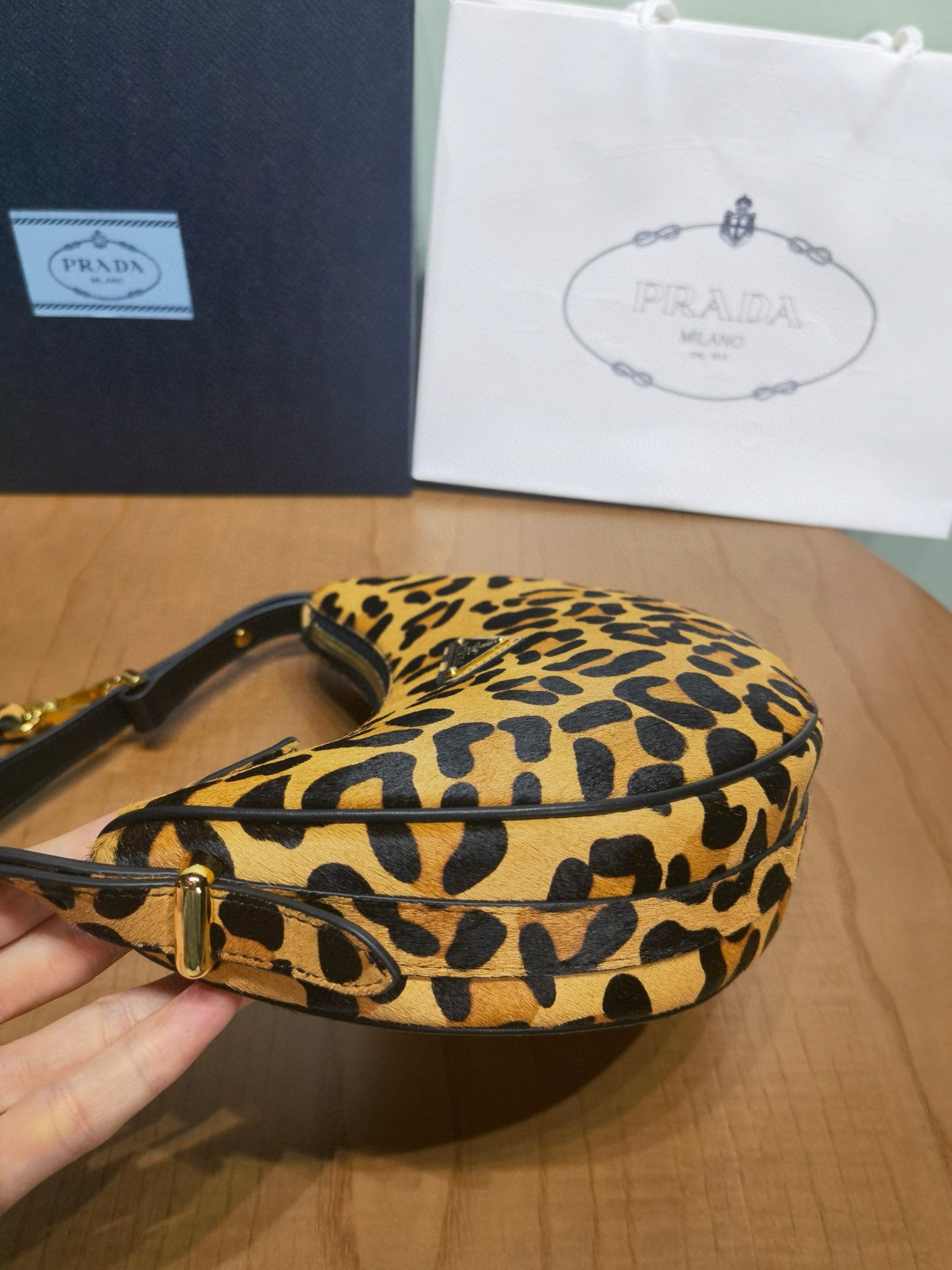 Prada Arque Moon Bag