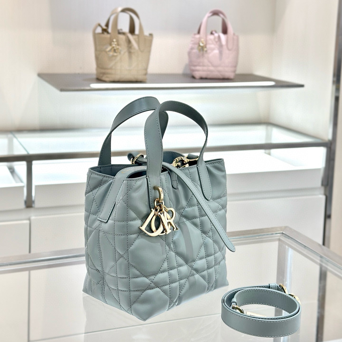 Dior Toujours Mini Bag
