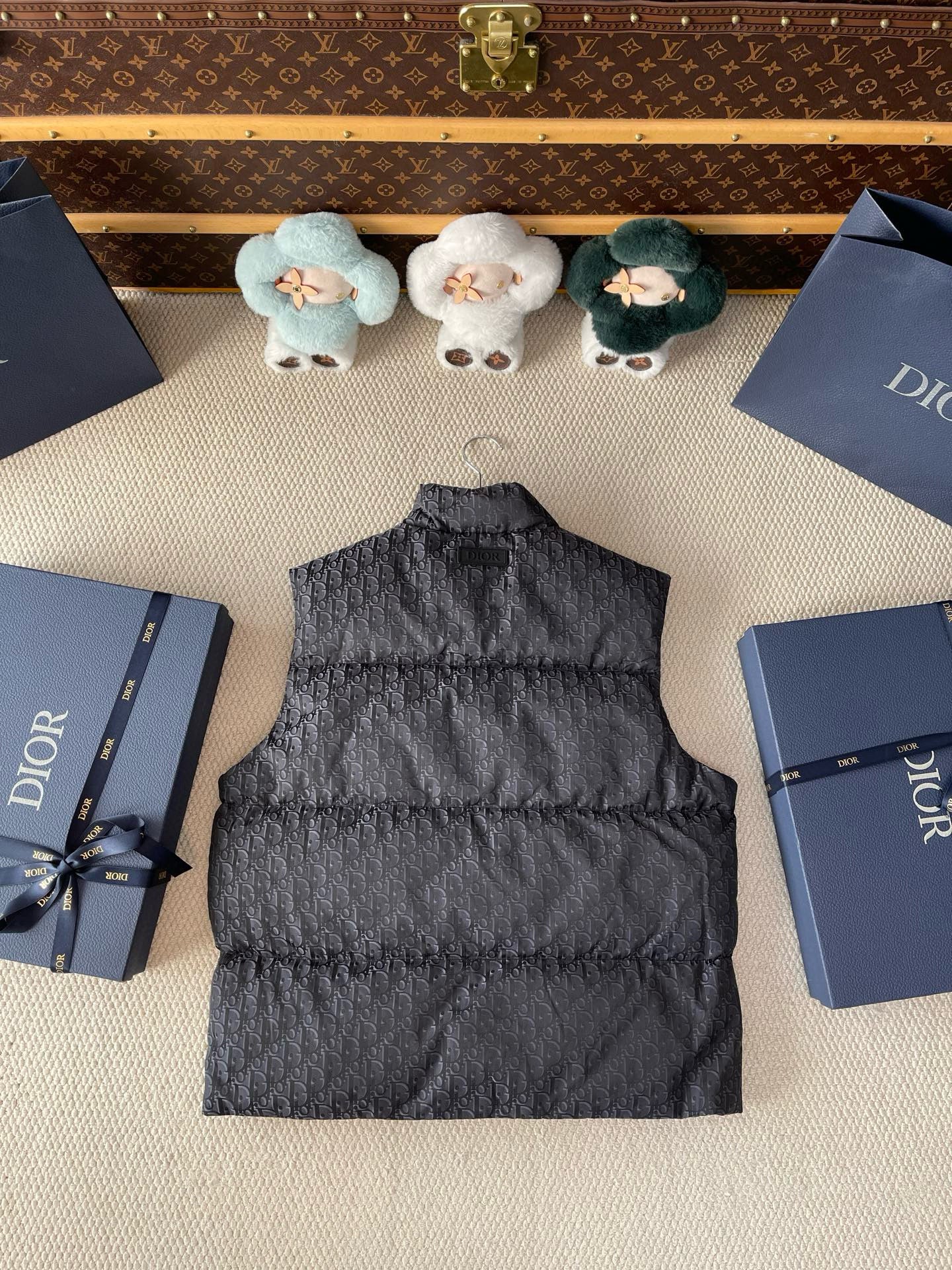 Dior Down Vest