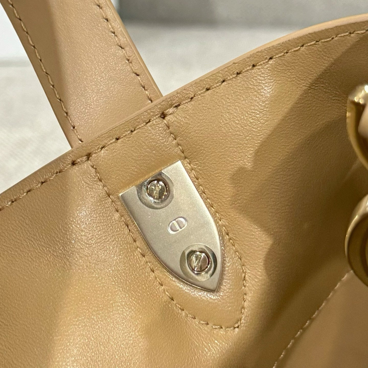 Dior Toujours Bag