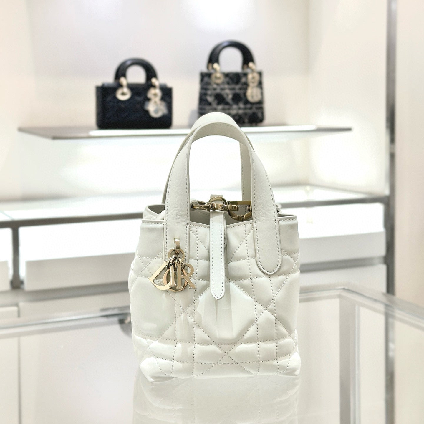 Dior Toujours Mini Bag