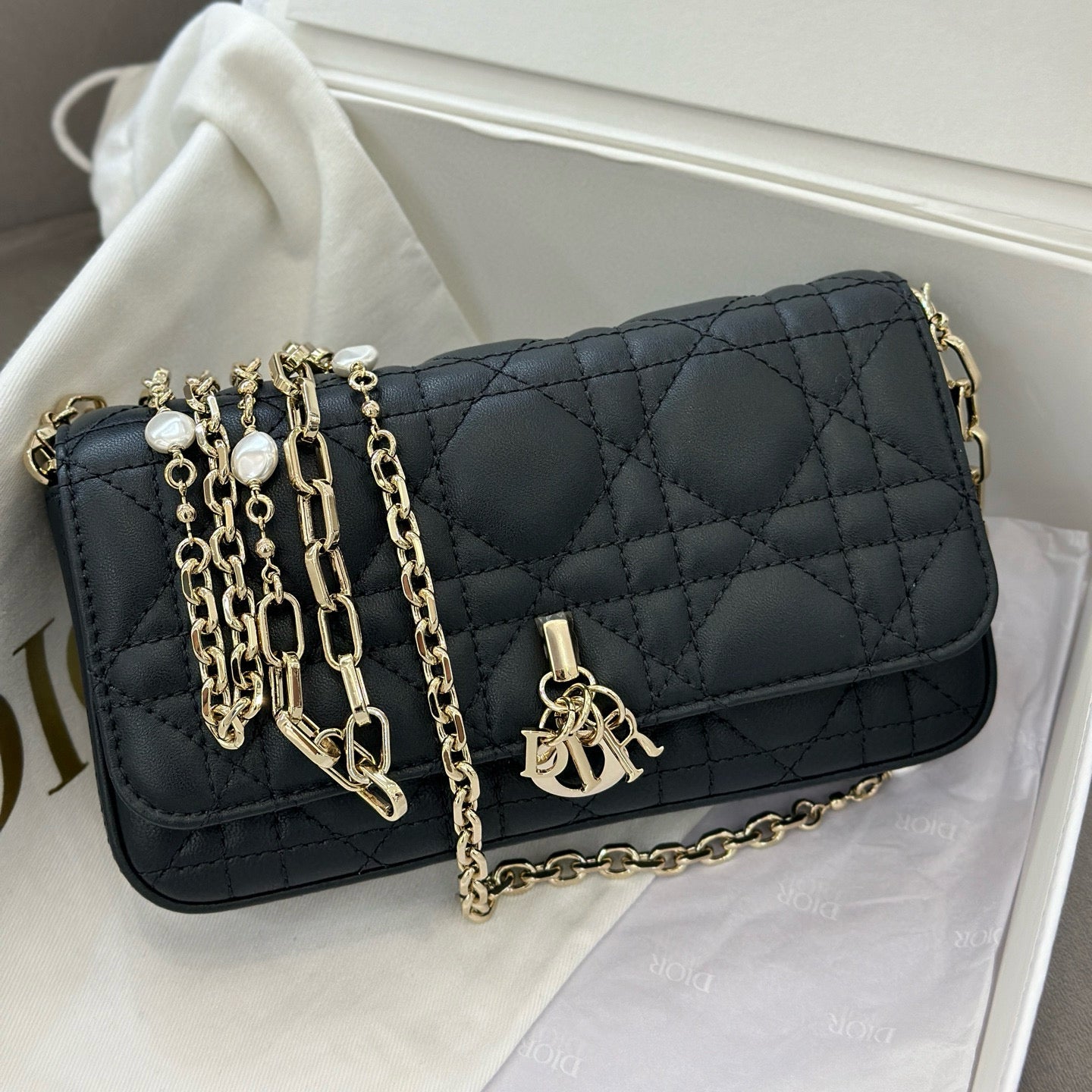 Dior WOC
