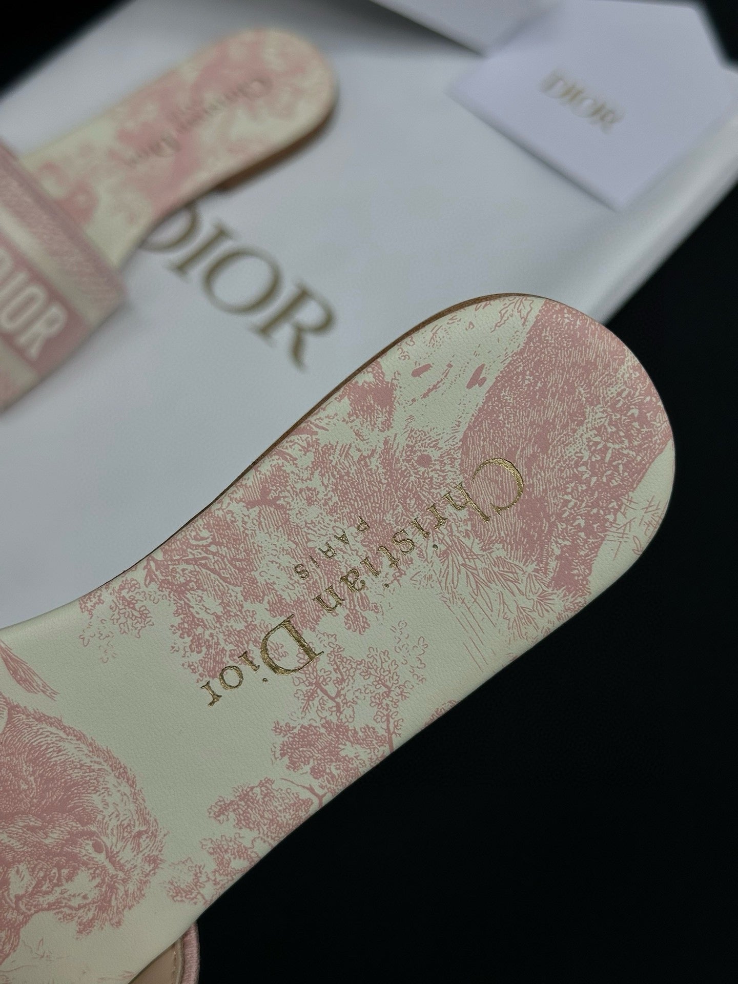 Dior Sandals