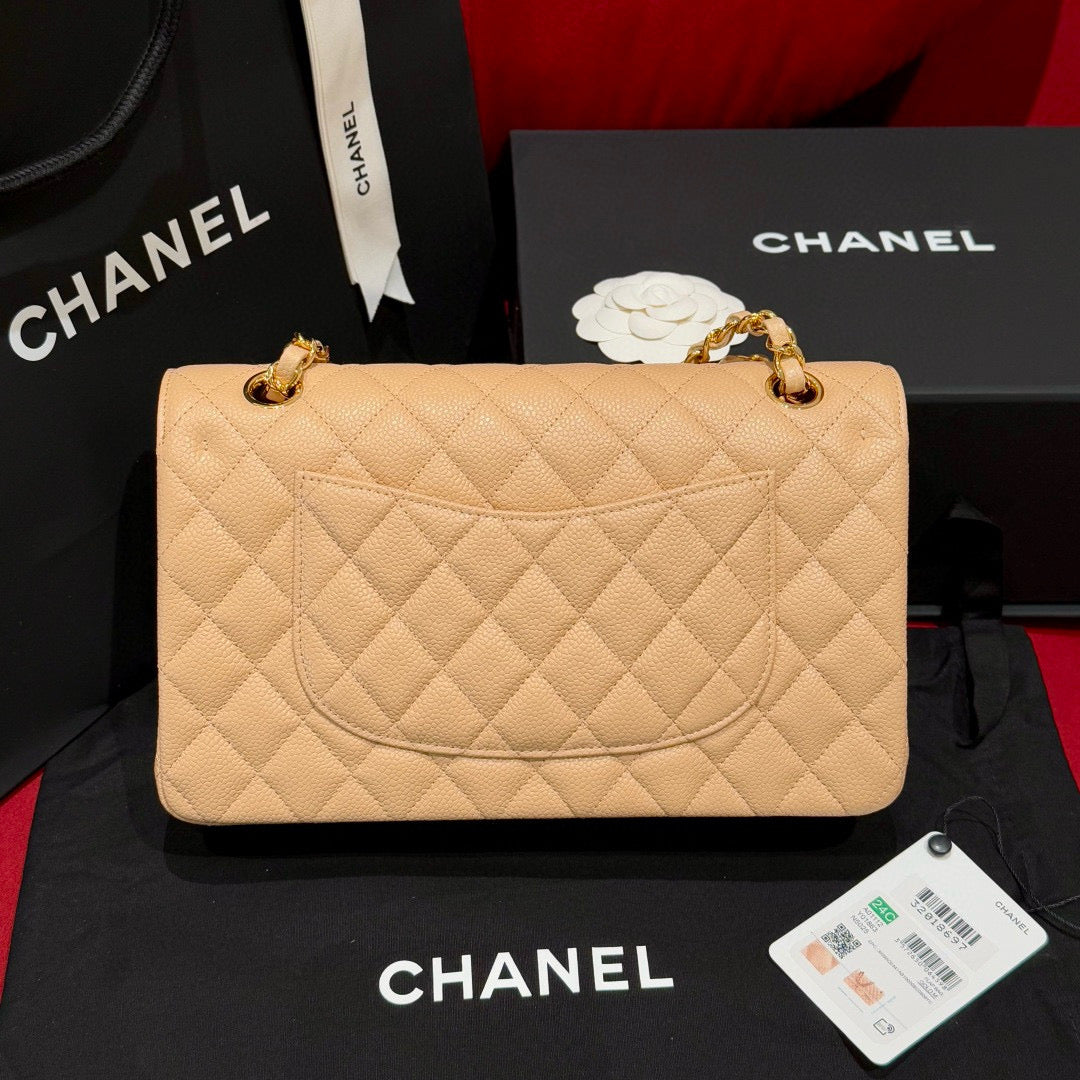 Chanel Classic Flap 25 (Medium)