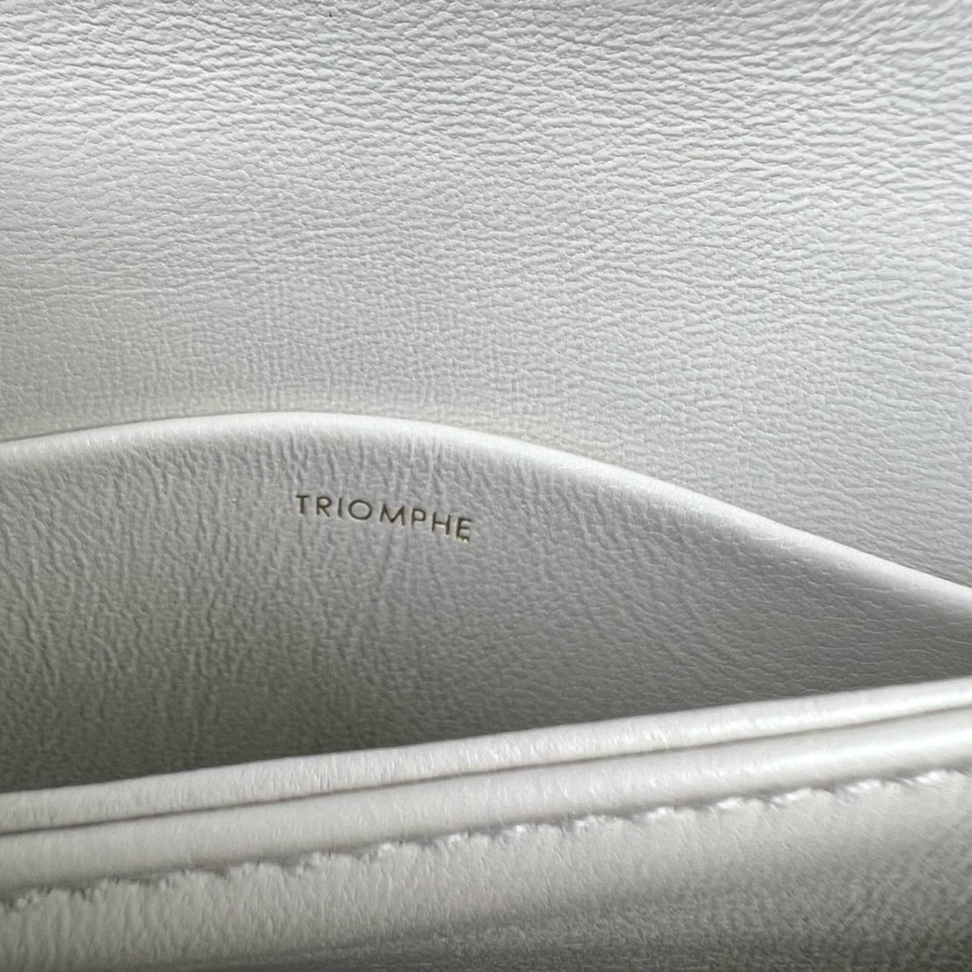 Celine Triomphe Cross Body