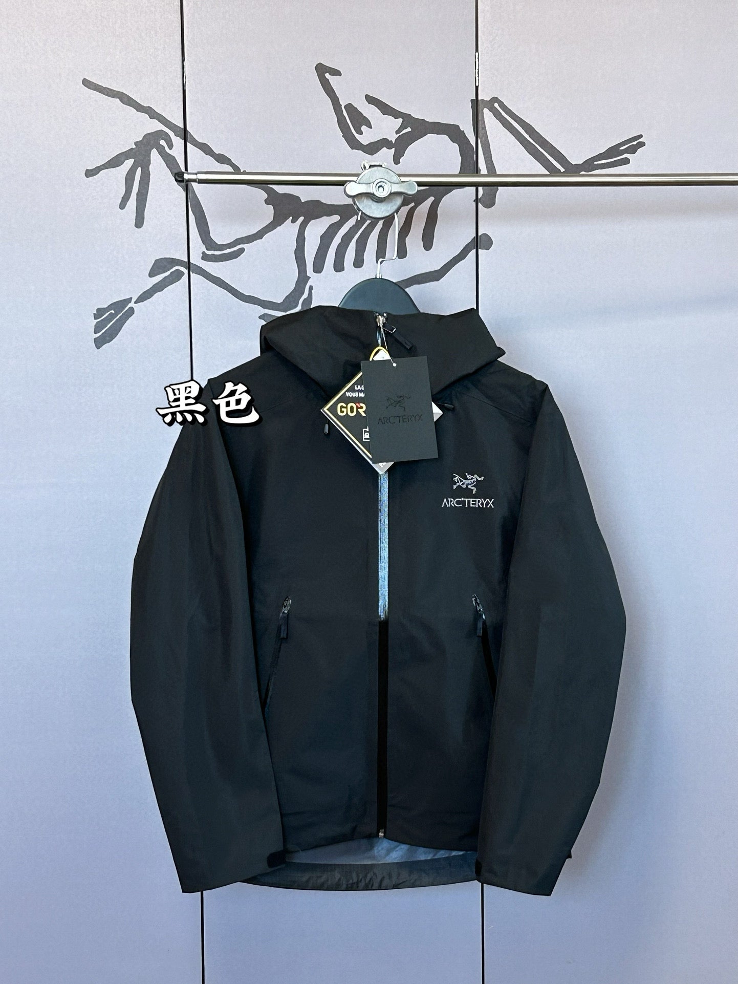 Arcteryx Jacket